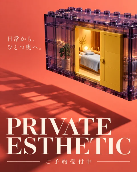参考作品