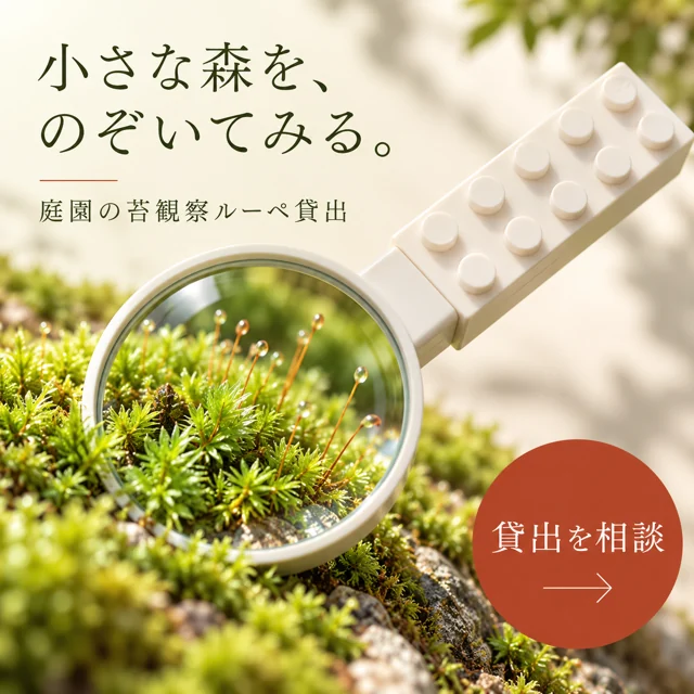 音楽・英会話教室の参考作品