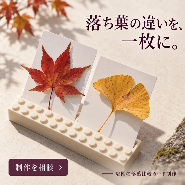音楽・英会話教室の参考作品