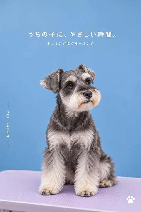 商品・暮らしの参考作品