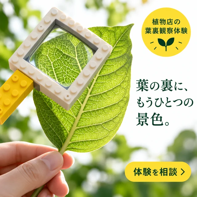 音楽・英会話教室の参考作品