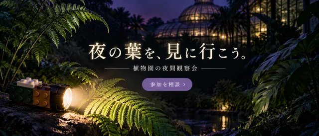 旅行の参考作品